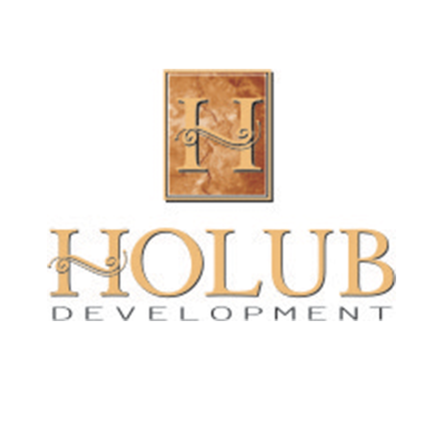 HOLUB Development logo - circular.